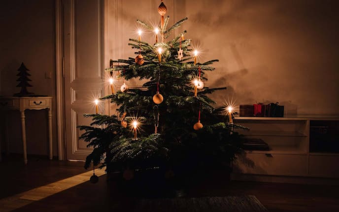 Was sind Weihnachtsäpfel? - Servus