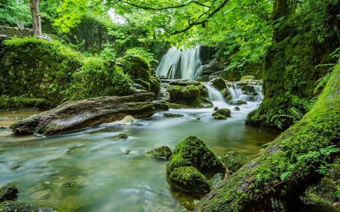 Wir suchen den schönsten Kraftplatz Österreichs (Bild: cascade creek/Pexels)