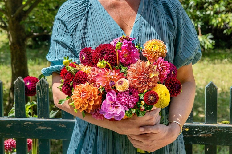 Frau, Sommer, grüner Gartenzaun, bunger Dahlienstrauß, Blumenschmuck, Blumendeko, selbermachen