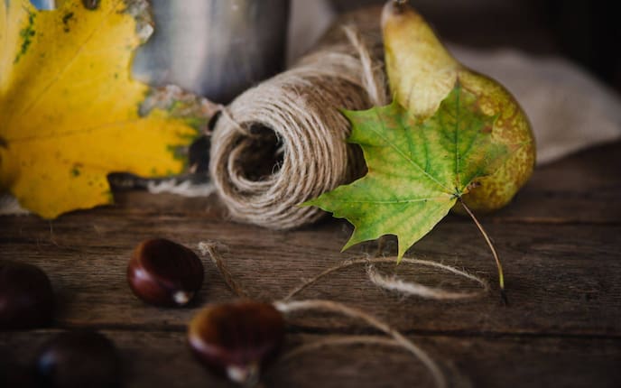 Herbstdeko zum Basteln, Ahornblätter, Maroni, Schnur, Spagat, selbermachen