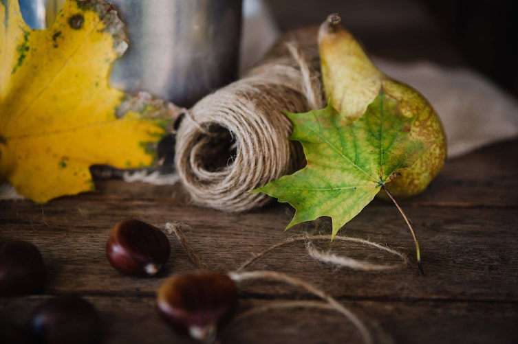 Herbstdeko zum Basteln, Ahornblätter, Maroni, Schnur, Spagat, selbermachen