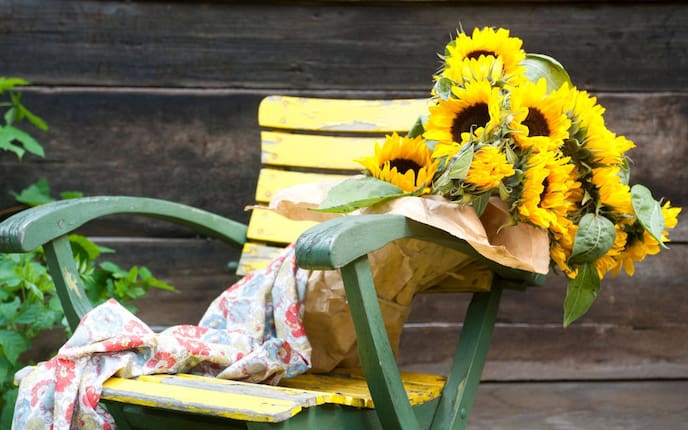 Sonnenblumen-Deko, Blumendeko, Blumenstrauß, Tuch, alter Gartensessel