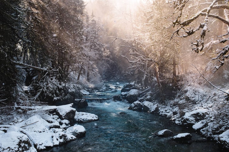 Winterwald, Waldspaziergänge