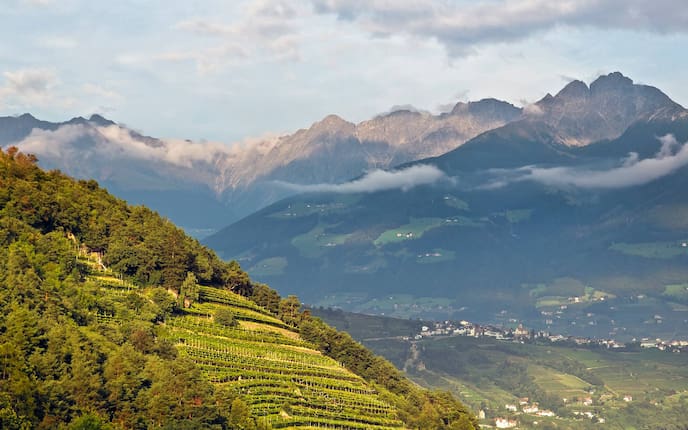 Südtirol, Törggelen