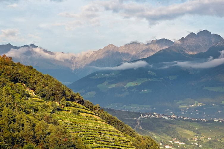 Südtirol, Törggelen