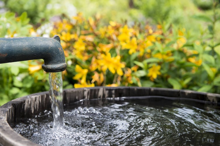 Wie man im Garten Wasser spart - Servus