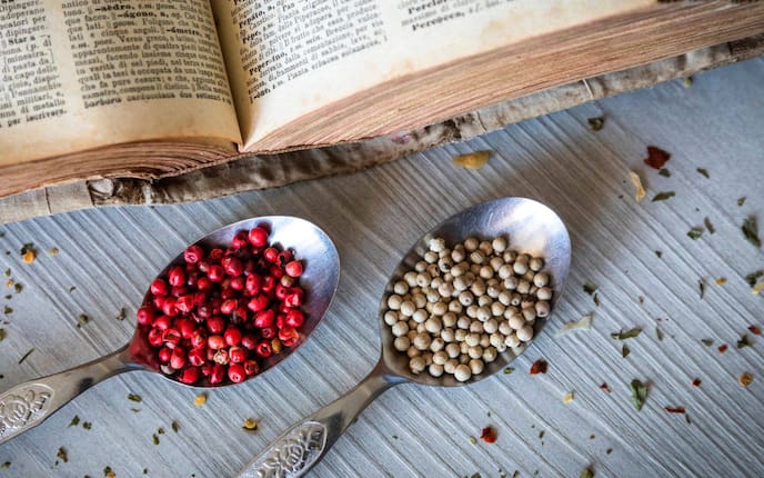 rote und schwarze Pfefferkörner, Esslöffel, altes Buch