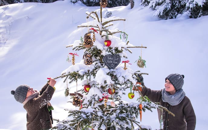 Kinder, Weihnachtsbaum, Tiere, Essen