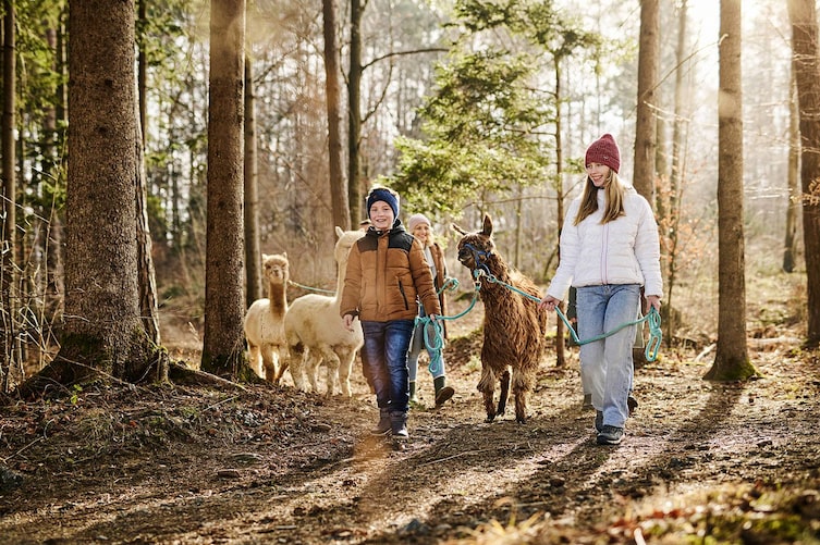 Ein tierisches Erlebnis für die ganze Familie – das sind die Rundwanderungen mit den Alpakas Montecarlo, Hyperion und Dexter in der Südsteiermark.