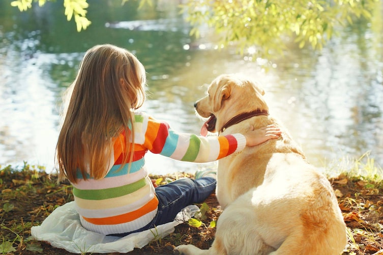 Kind, Hund, Mädchen, Tiere, Haustierwissen